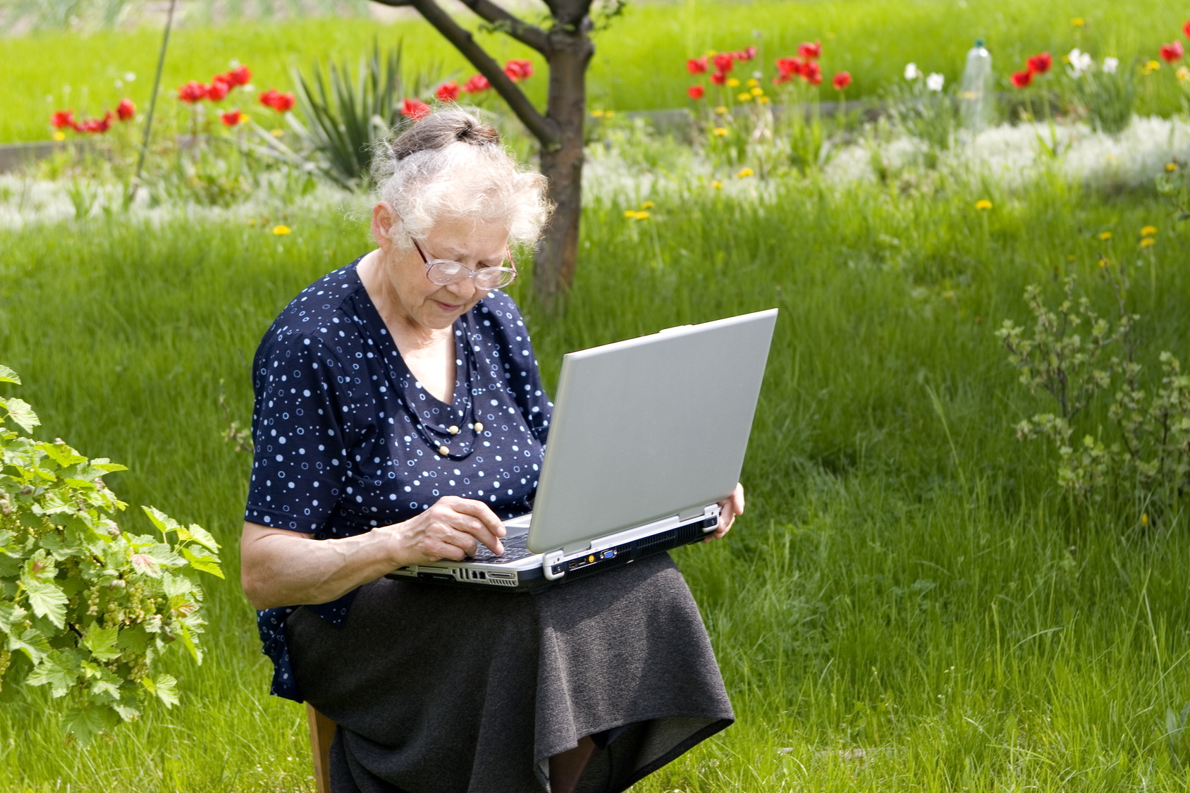 Продвинутые женщины. Бабушка на даче. Интернет на дачу. Бабушка с ноутбуком. Бабуля на даче.